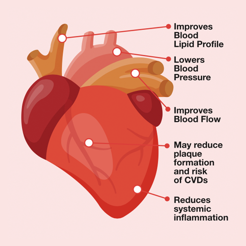 This is an image that shows the benefits of natural astaxanthin to cardiovascular health.
