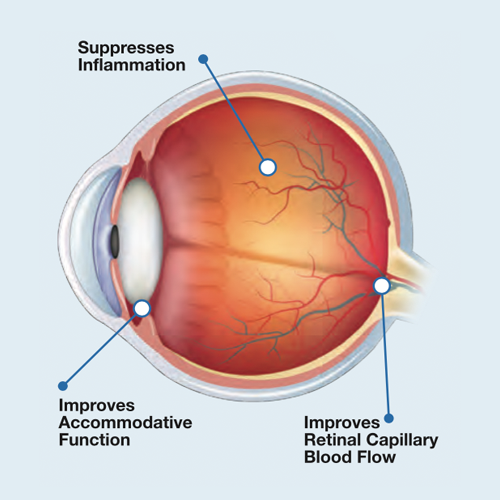 This is an image that shows the benefits of natural astaxanthin to eye health.