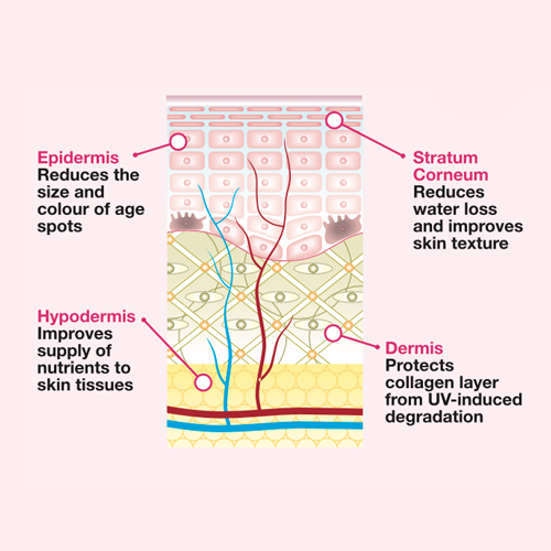 This is an image that shows the benefits of natural astaxanthin to skin health.